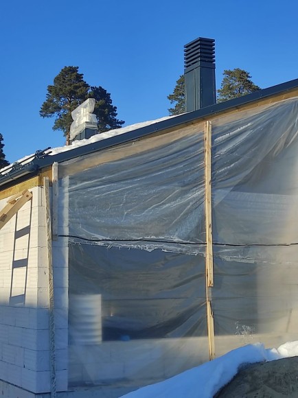 Дымник серый