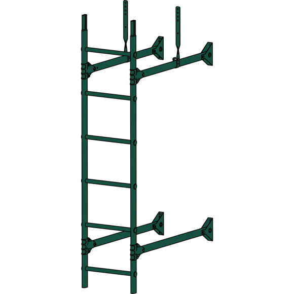 Лестница стеновая "Prestige 400 RAL 6005"