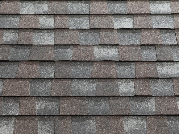 Katepal Mansion Katepal Mansion